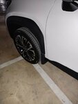 IMG_20220402_165003.jpg