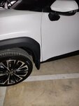 IMG_20220402_164954.jpg