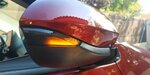 IMG_20221012_134043_10.jpg