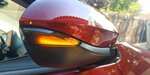 IMG_20221012_134043_11.jpg