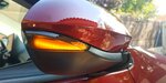 IMG_20221012_134043_12.jpg