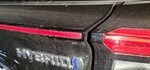IMG_20221106_152123.jpg