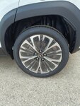 IMG_20230614_184238.jpg