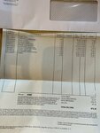 IMG_0272.jpeg
