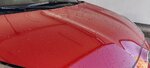 IMG_20230725_170924.jpg