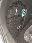 IMG_20240129_095241.jpg