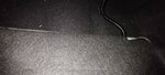 IMG_20240629_215122.jpg