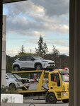 IMG_2324.jpeg