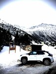 IMG_2772.jpeg
